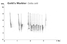 Sonograms