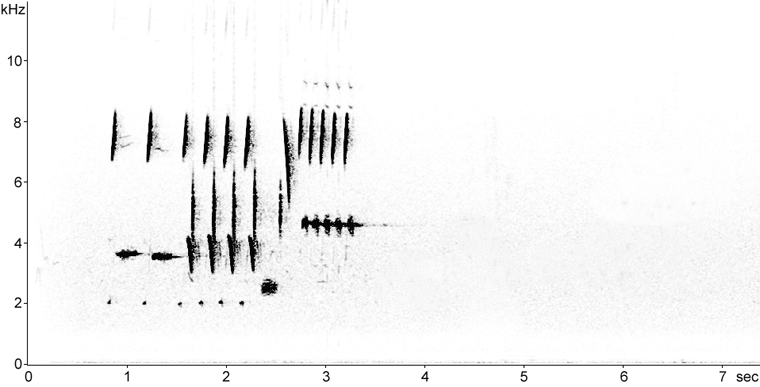 Sonogram of Song Sparrow song