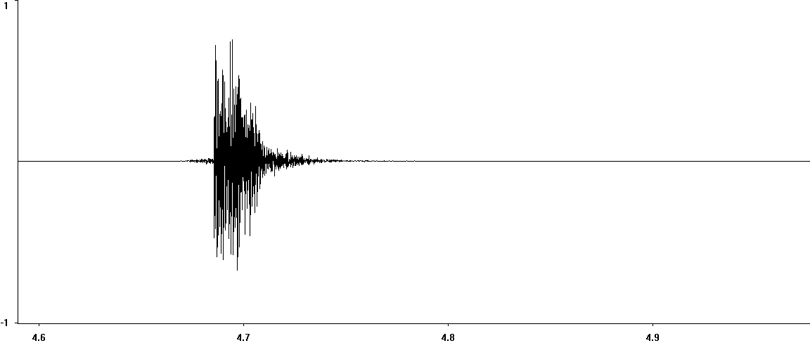 Oscillogram of Speckled Bush-cricket stridulation [speckledbushcricket117346ecut]
