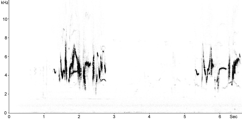 Sonogram of Stonechat song