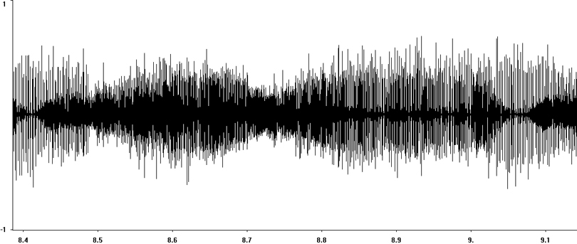 Oscillogram of Stripe-winged Grasshopper stridulation