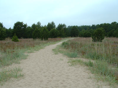 Holick Dune & Heathland