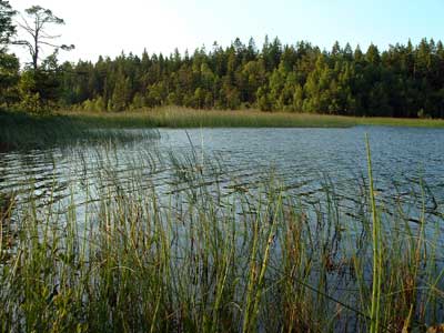 Hornslandet