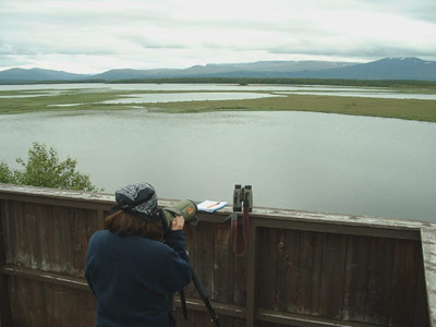 Nataholmen, Lake Annsjon