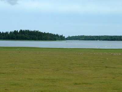 Ledskar