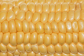 Sweetcorn