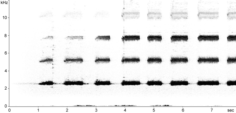 Sonogram of European Tree-cricket (Oecanthus pellucens) stridulation [treecricket112899ecut]