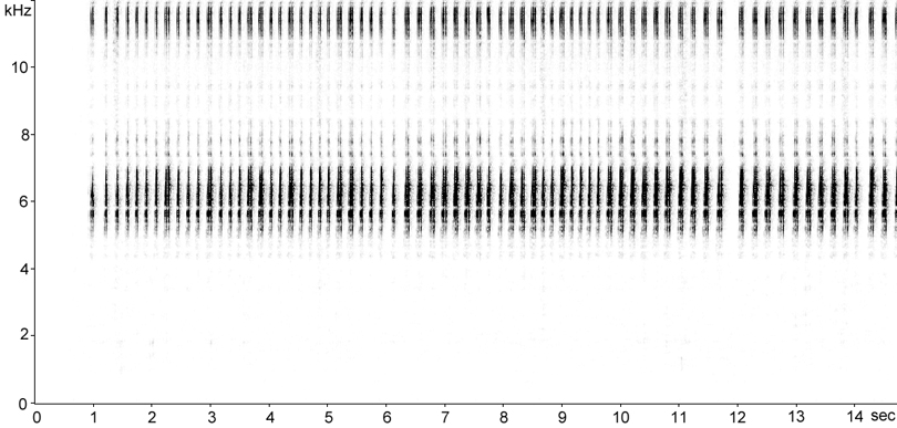 Sonogram of Tropical House Cricket stridulation