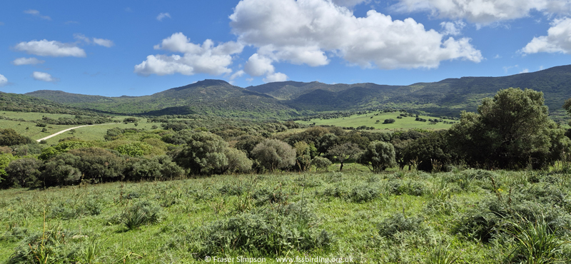 Valle de Oj�n, Andaluc�a, Spain, April 2025 � Fraser Simpson