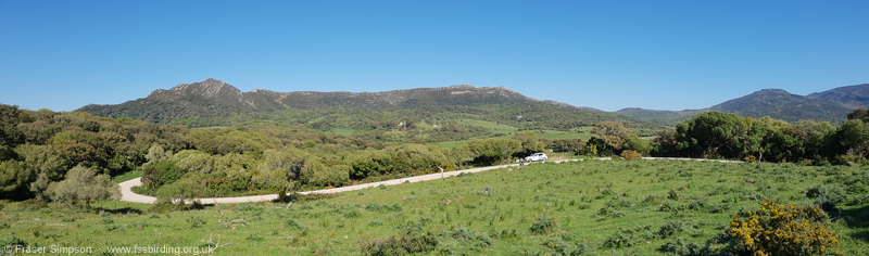 Valle de Ojn, Parque Natural de los Alcornocales  Fraser Simpson