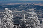 View from Sandia Peak