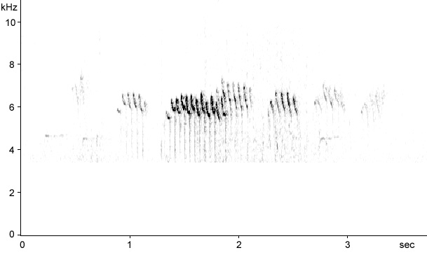 Sonogram of Bohemian Waxwing calls