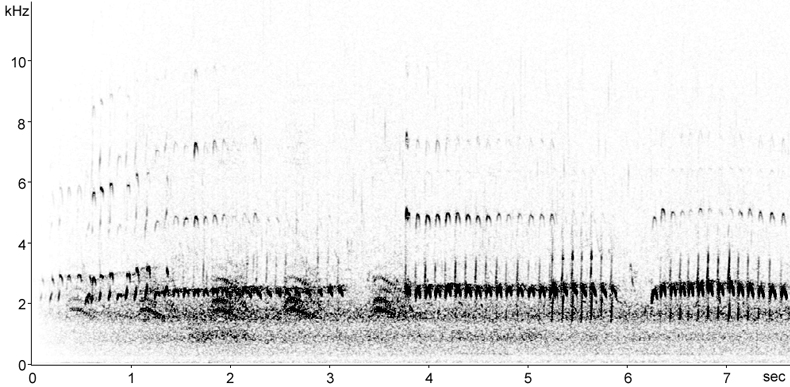 Sonogram of Whimbrel calls