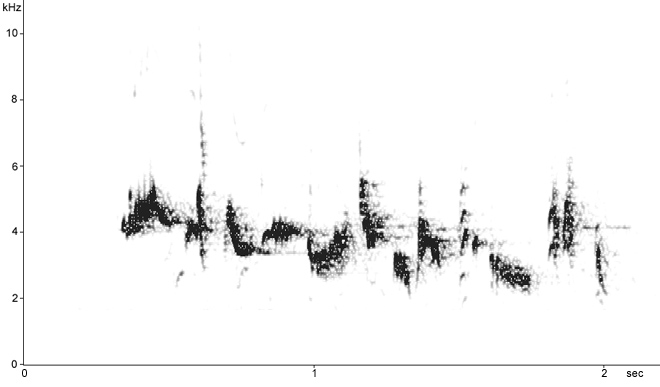Sonogram of Whitethroat song
