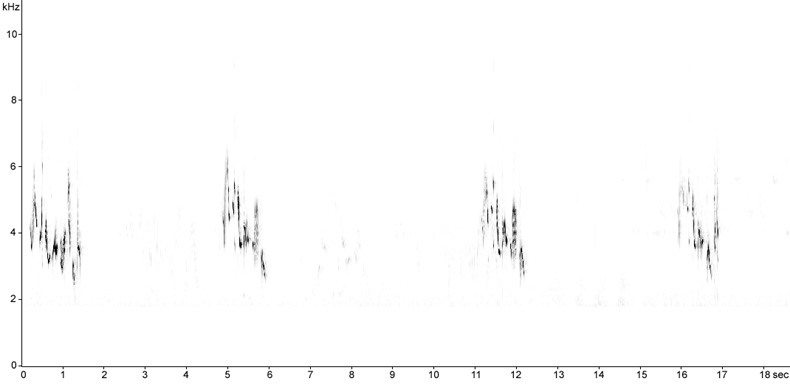 Sonogram of Whitethroat song