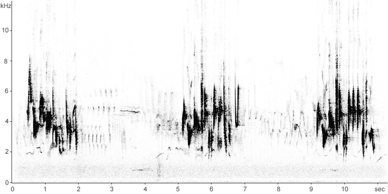 Sonogram of Whitethroat song