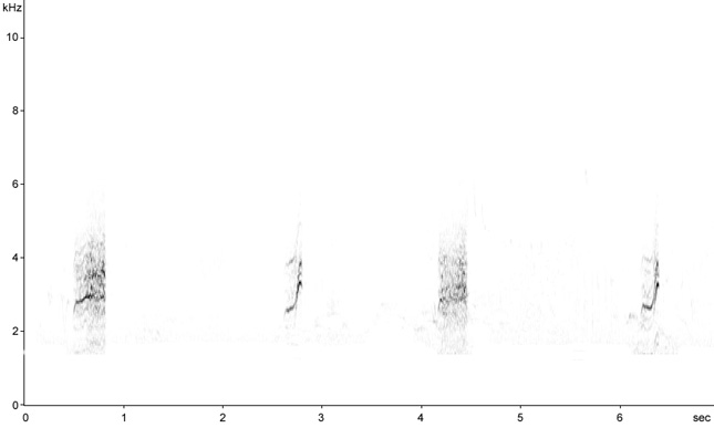Sonogram of Whitethroat calls