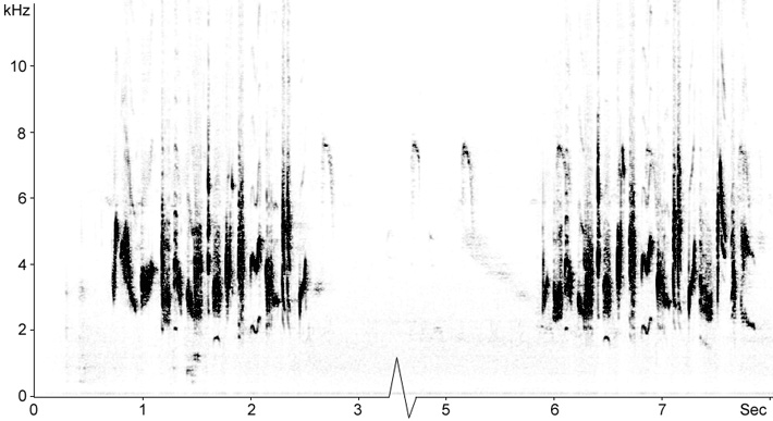 Sonogram of Whitethroat song