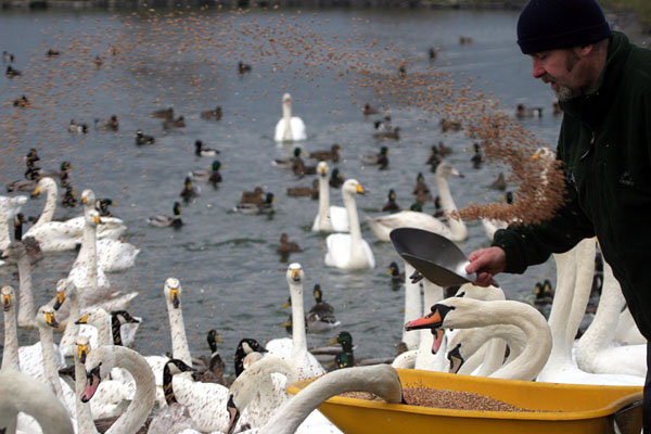 Feeding Time �2005 Fraser Simpson