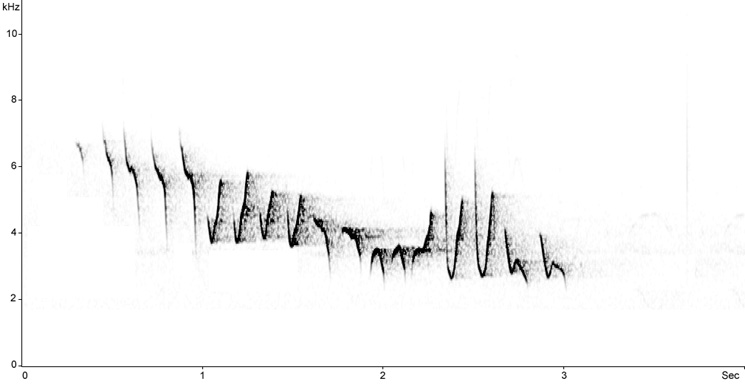Sonogram of Willow Warbler song