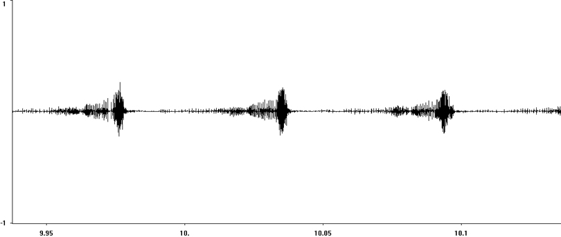 Oscillogram of Woodland Grasshopper stridulation