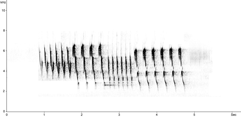 Sonogram of Woodlark song