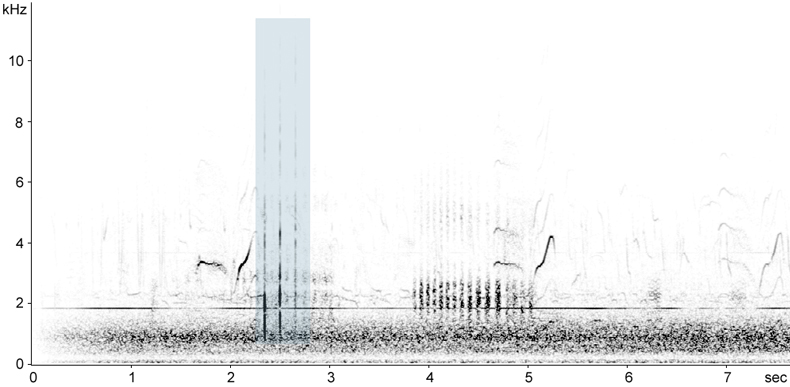 Sonogram of Wood Pigeon wing-clap display