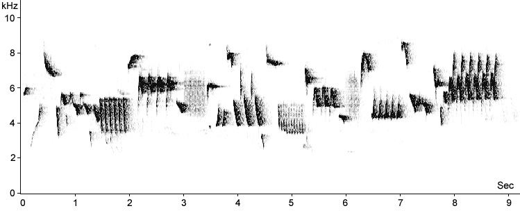 Sonogram of Eurasian Wren song