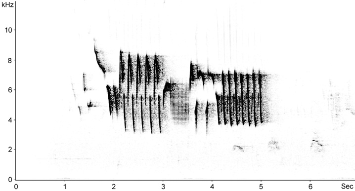 Sonogram of Eurasian Wren song