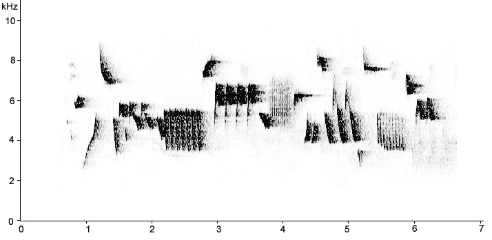 Sonogram of Eurasian Wren song