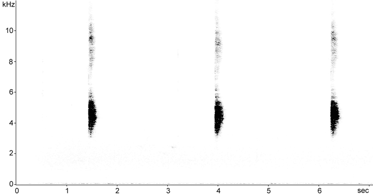 Sonogram of Yellowhammer calls