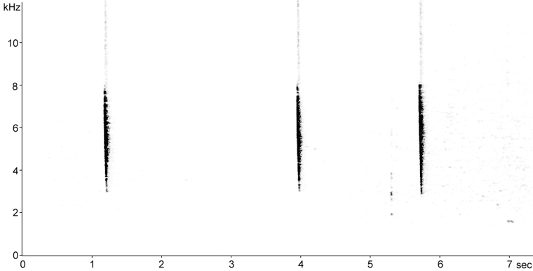 Sonogram of Yellow Warbler calls