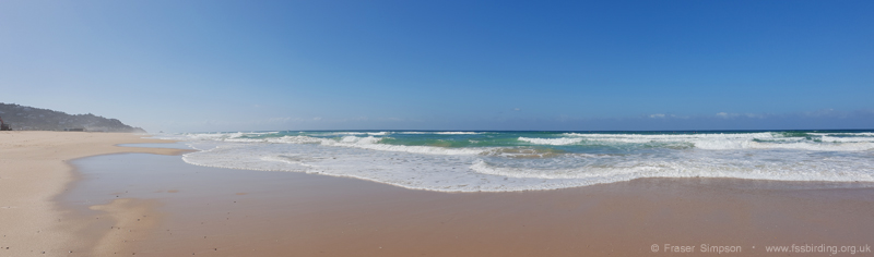 Playa de Zahara © Fraser Simpson