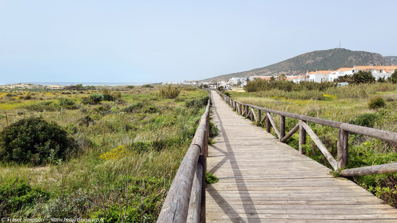 Boardwalk, Zahara de los Atunes  Fraser Simpson