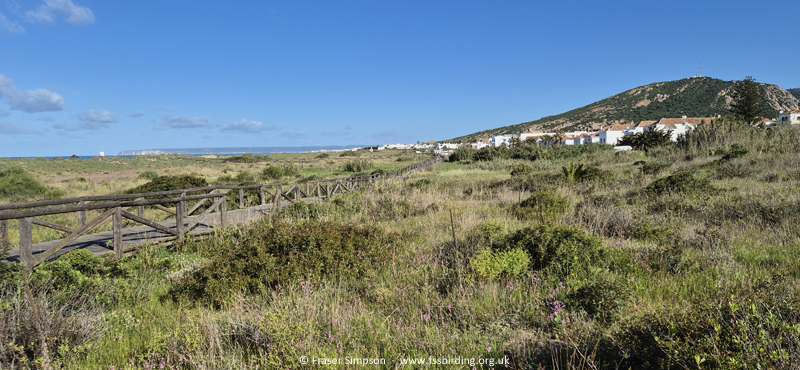 Boardwalk through the dunes, Zahara de los Atunes, Andaluc�a, Spain � Fraser Simpson