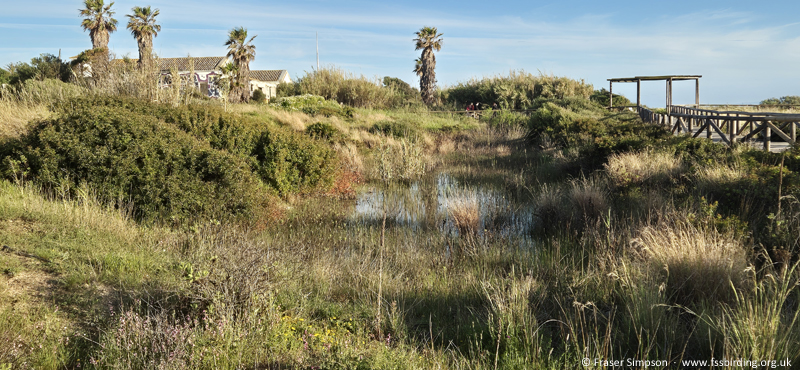 Boardwalk through the dunes, Zahara de los Atunes, Andaluc�a, Spain � Fraser Simpson