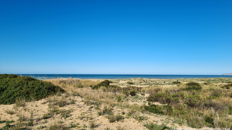Playa de Atlanterra,  Zahara de los Atunes  Fraser Simpson
