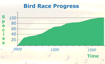 Bird Race Progress Chart