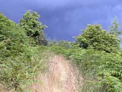 Devil's Trail