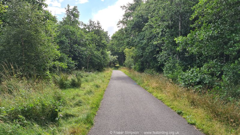 Shewalton Wood SWT  Fraser Simpson