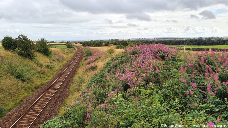 Kilmaurs to Kilmarnock railway line  Fraser Simpson