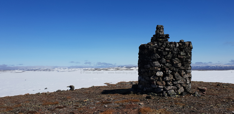 Btsfjordfjellet  Fraser Simpson