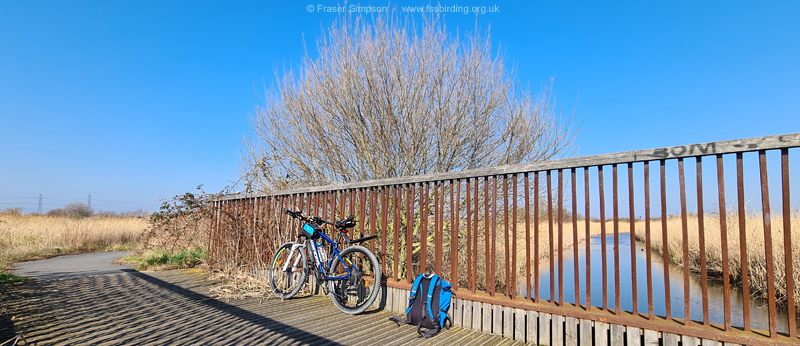 Birding by Bike to Work, March 2022