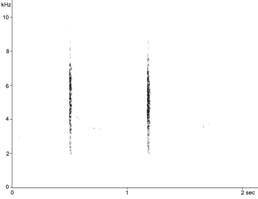 Sonogram of Blackcap call