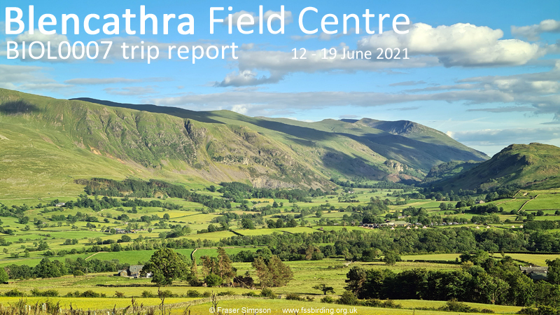 New trip report from Blencathra Field Centre, 18-25 June 2021