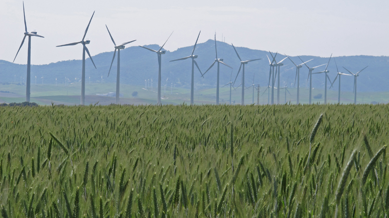 Wind Turbines, Zahara de los Atunes  Fraser Simpson