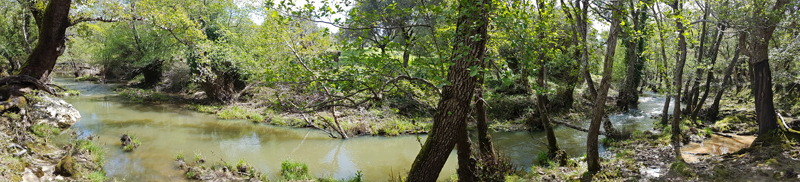Arroyo del Tiradero, Valle de Ojn  Fraser Simpson