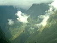 Rainforest-covered Slopes