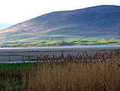 Criffell & Nith Estuary