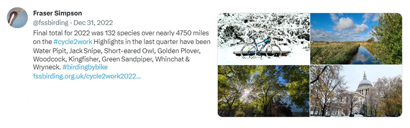 Birding by Bike to Work, Oct-Dec 2022